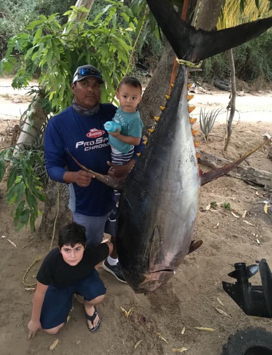 Fighting a big one
