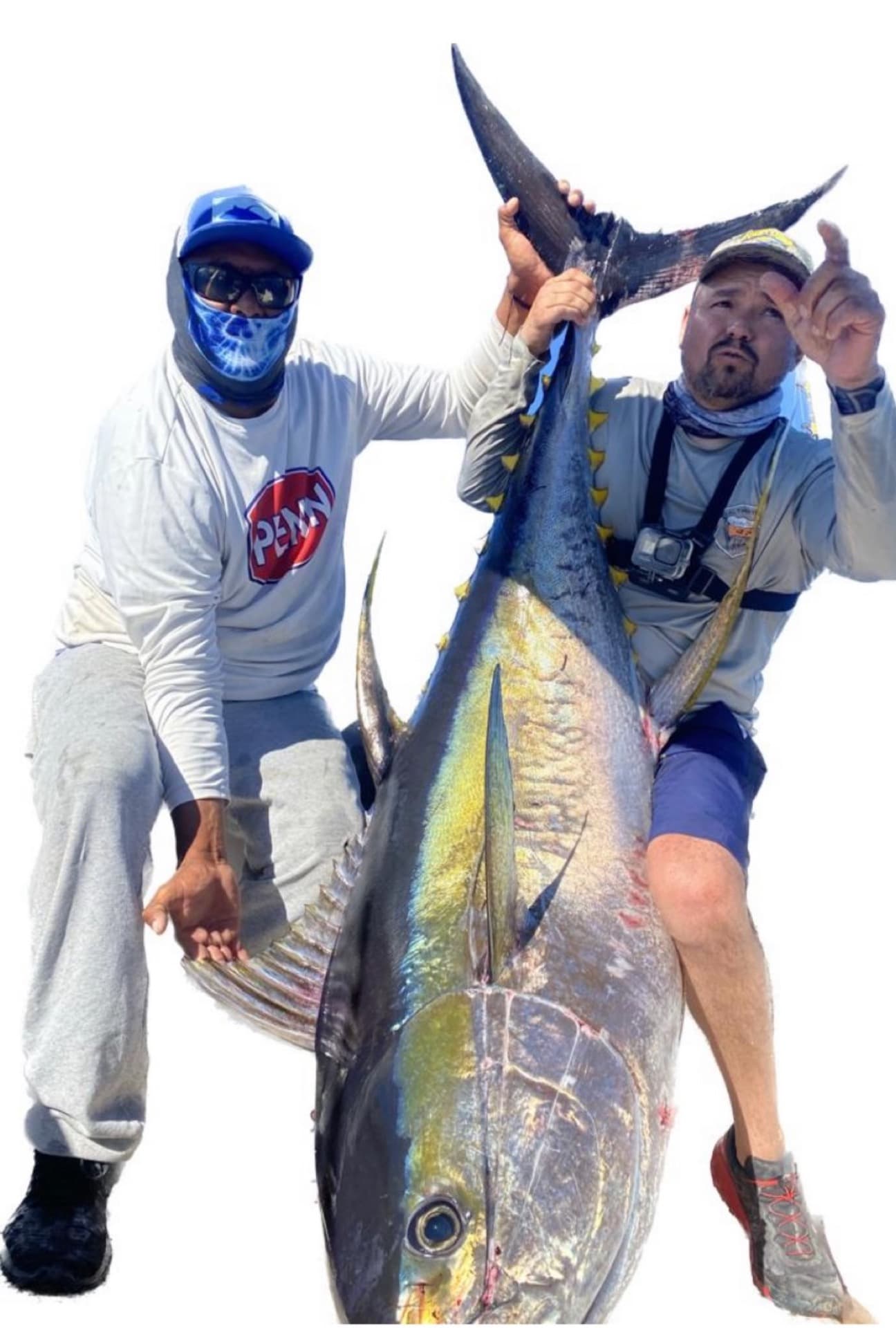 Mahi-mahi aboard